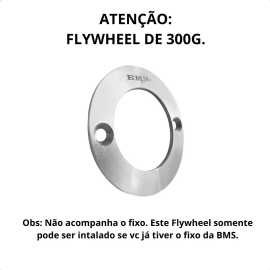 FLYWHEEL 300G BETA 250/300 2T 13 25 BMS RACING